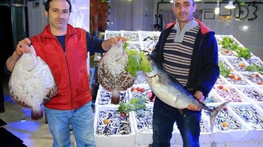 Samsun&rsquo;da Hamsi Fiyatı Yarı Yarıya D&uuml;şt&uuml;