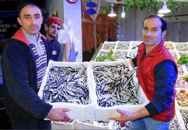 Samsun’da Hamsi Fiyatı Yarı Yarıya Düştü