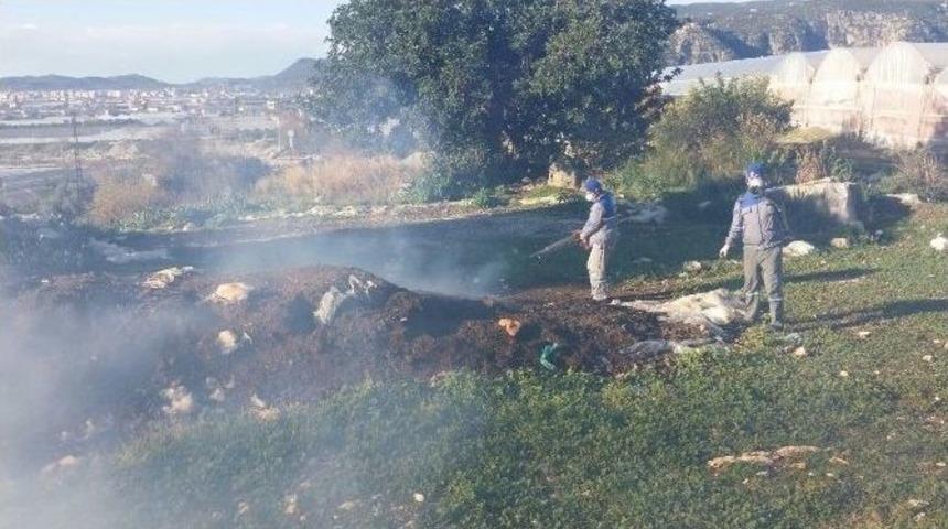 B&uuml;y&uuml;kşehir&rsquo;den Sinekle M&uuml;cadele &Ccedil;alışmaları Devam Ediyor