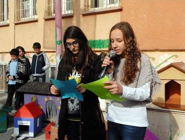 Öğrencilerden Sokak Hayvanları İçin Barınak