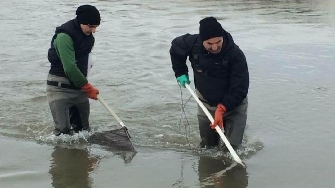 Kanalizasyon, Bendimahi &Ccedil;ayında Yaşamı Bitirdi