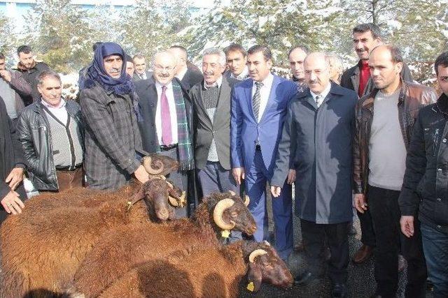 Bingöl’de Koç Dağıtım Töreni