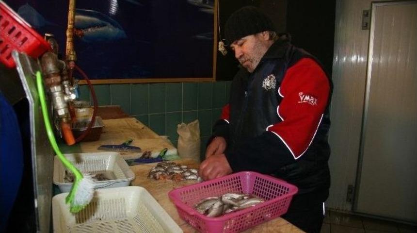 Afyonkarahisar’da Balık Fiyatları