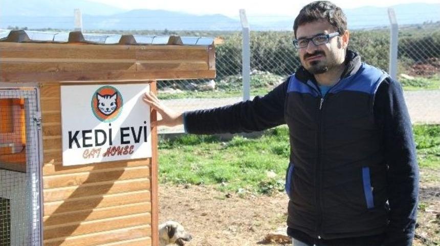 Kedilerinde Kendine Has Hastanesi Oldu