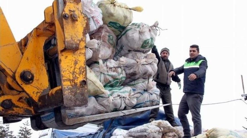 Hayat Ağacı Derneği’nden Bayırbucak Türkmenleri’ne Yardım