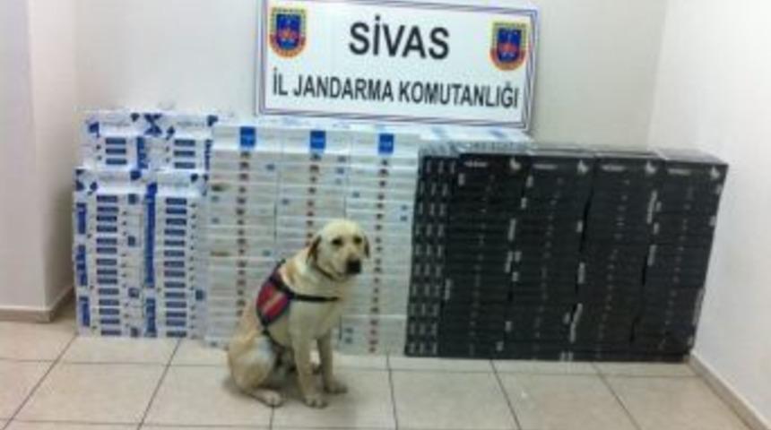 Sivas&rsquo;ta 15 Bin Paket Ka&ccedil;ak Sigara Ele Ge&ccedil;irildi