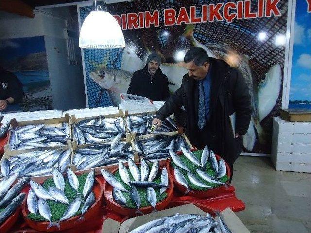 Düzce’de Tarımda 2015 Yılı Aralık Ayı Dolu Dolu Geçti