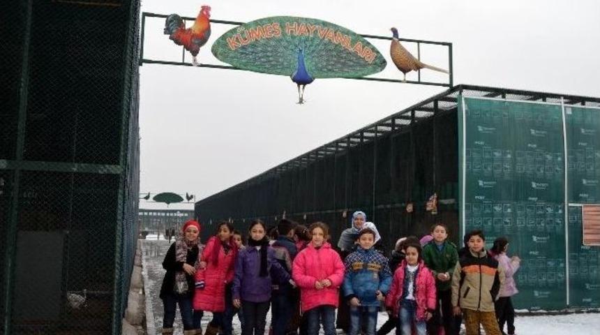 Suriyeli &Ccedil;ocuklar Hayvanat Bah&ccedil;esi&rsquo;ni Gezdi
