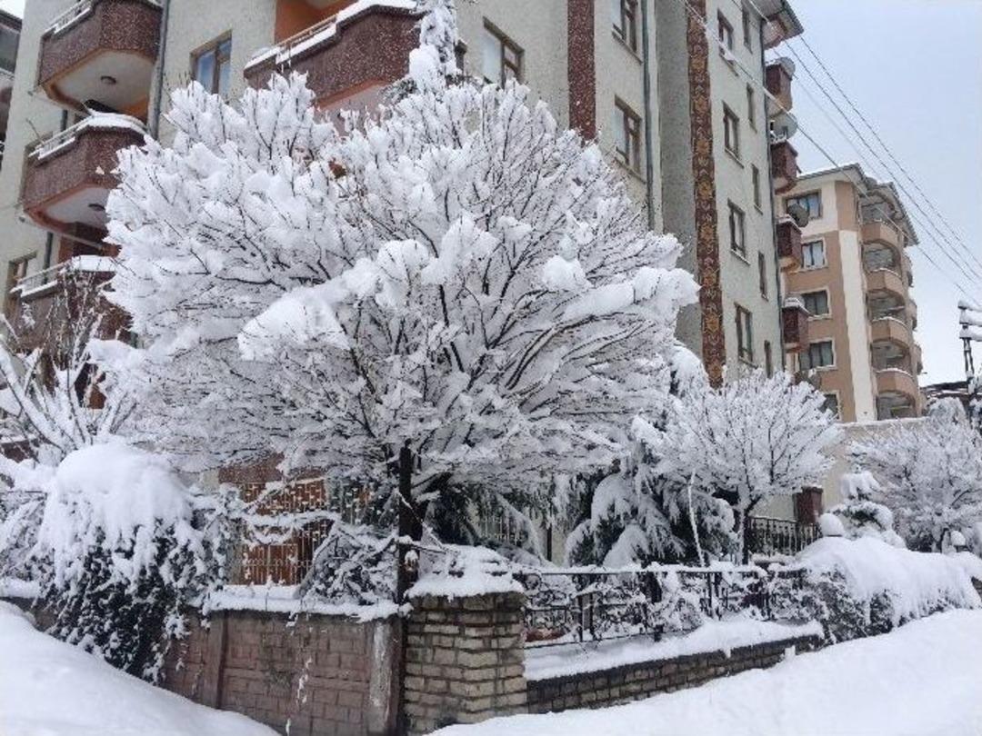 Van&rsquo;a, Karla Gelen G&uuml;zellik