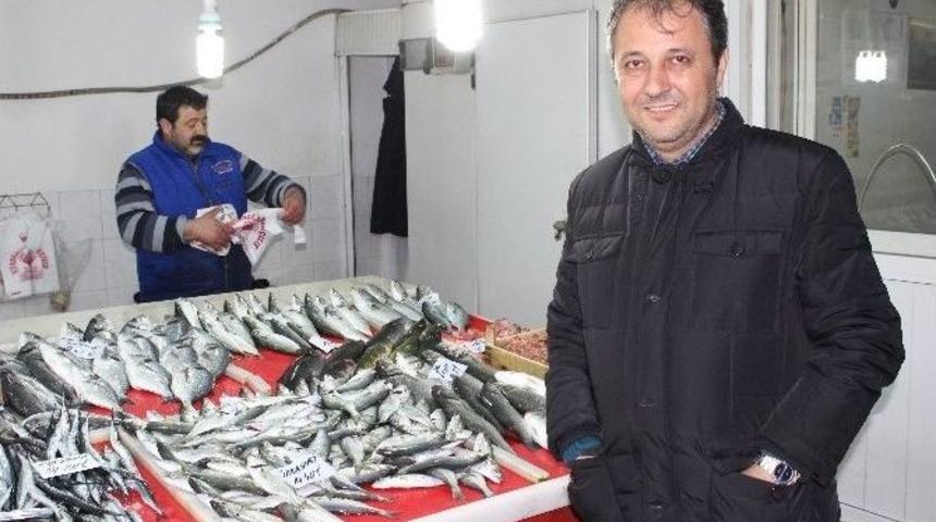 &Ccedil;anakkale B&ouml;lgesinde Sardalye Bolluğu