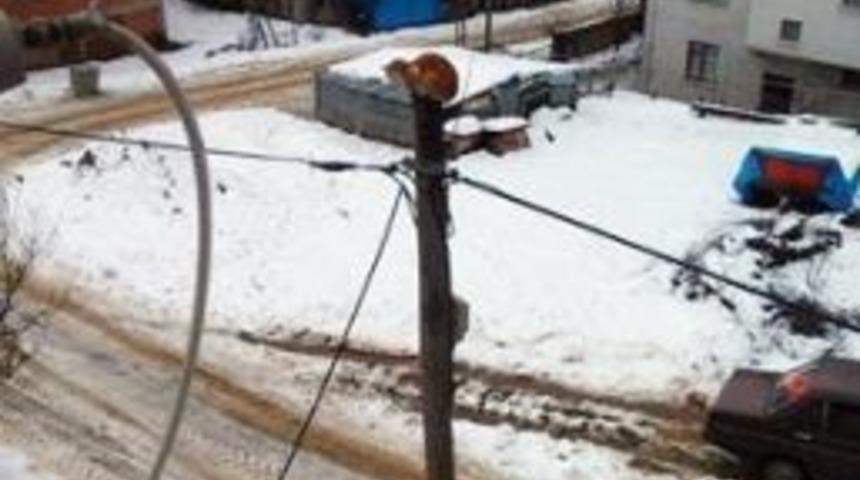 Daday&rsquo;da Kedi Kurtarma Operasyonu