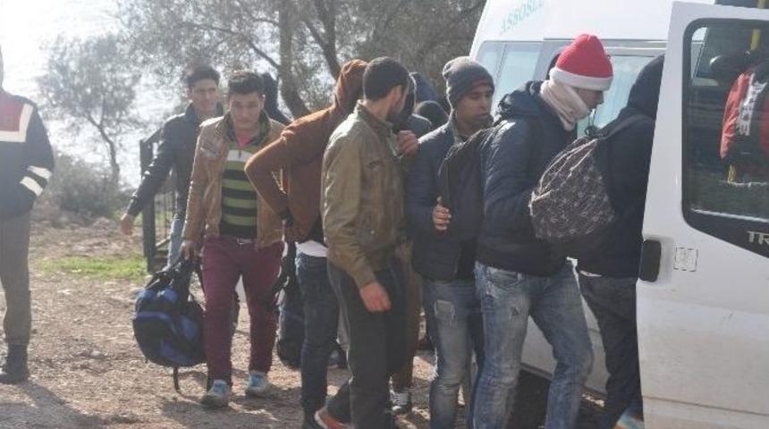 Çanakkale’de 163 Kaçak Yakalandı