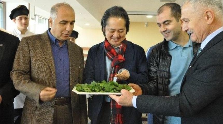 Isırgan Otunu Japonlar&rsquo;a Tanıttılar