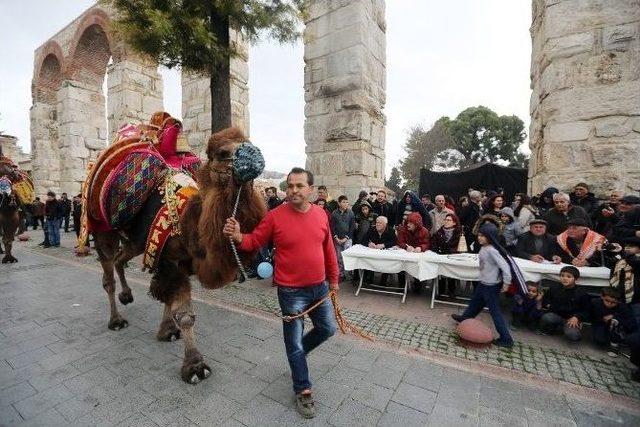 En Süslü Deve, Yağmur Altında Seçildi