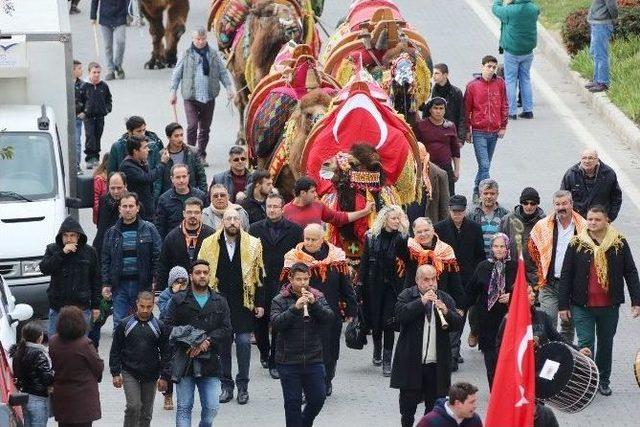 En Süslü Deve, Yağmur Altında Seçildi