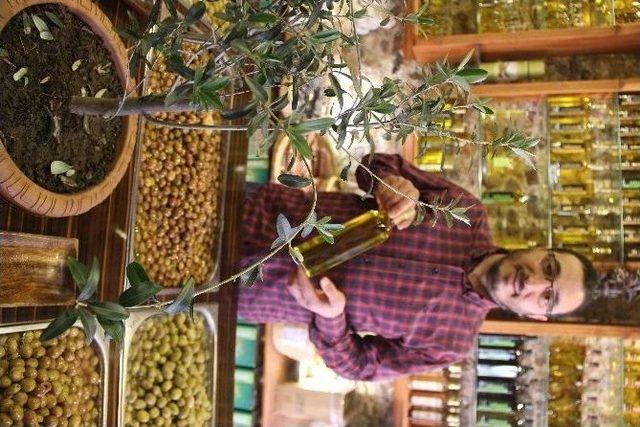 Tariş Zeytinyağı Birliği Başkanı Cahit Çetin “zeytinyağı Pahalı Değildir, Değerlidir”