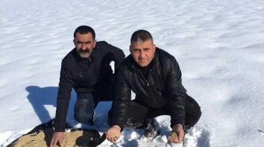 Malazgirtli Avcılar Doğaya Yem Bıraktı