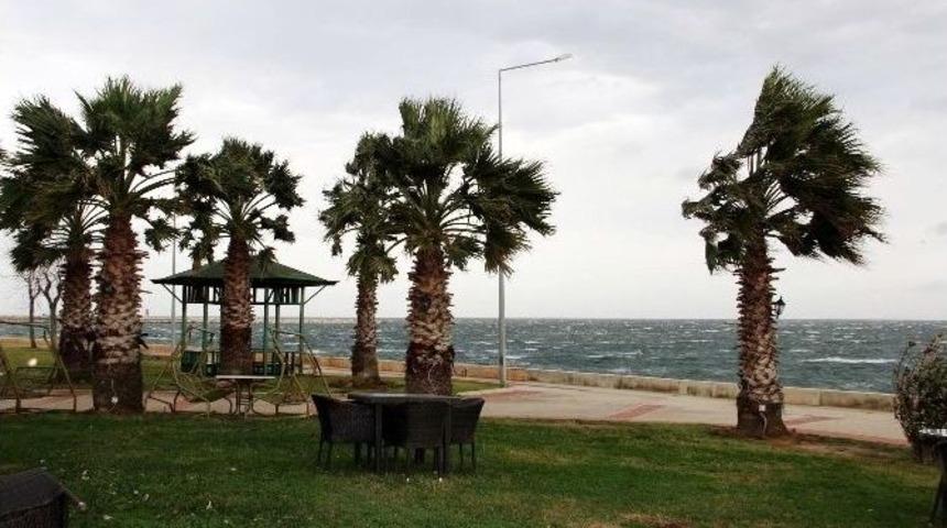 Yalova&rsquo;da Fırtına G&uuml;nl&uuml;k Hayatı Etkiledi