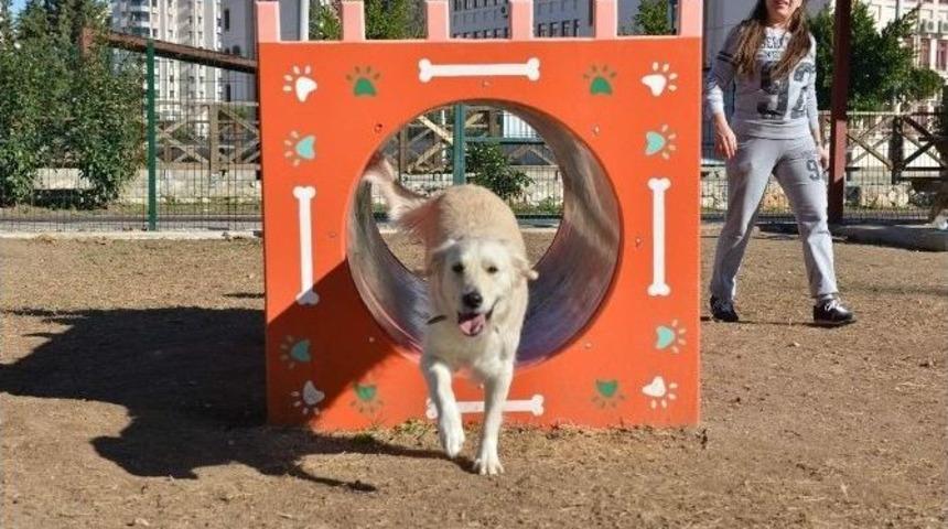 Konyaaltı Belediyesi G&uuml;rsu K&ouml;pek Oyun Parkı&rsquo;nı A&ccedil;tı