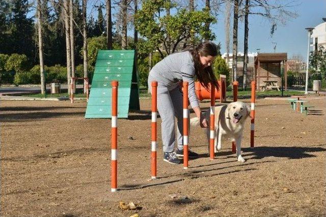 Konyaaltı Belediyesi Gürsu Köpek Oyun Parkı’nı Açtı