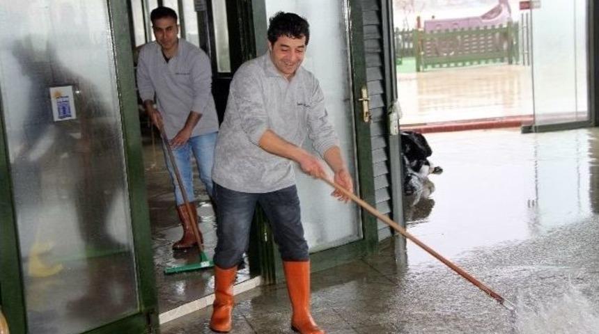 Didim&rsquo;de Şiddetli Lodos Hayatı Olumsuz Etkiledi