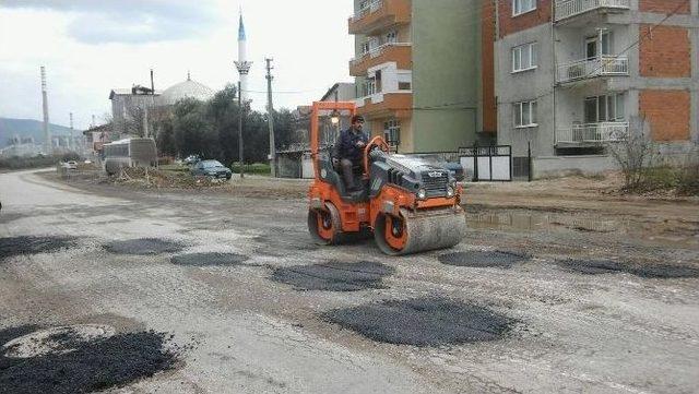 Soma, Büyükşehirle Emin Ellerde‏