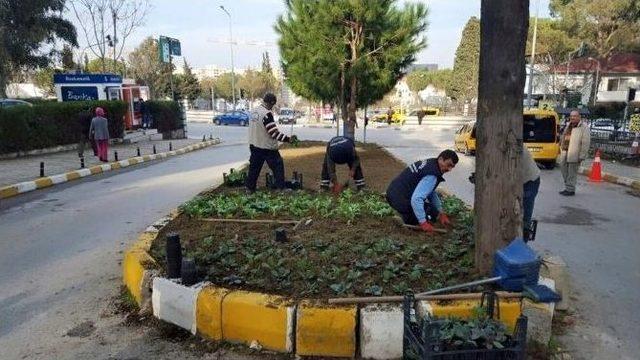 Lodosun Devirdiği Ağaçlar Ekiplerce Kaldırıldı