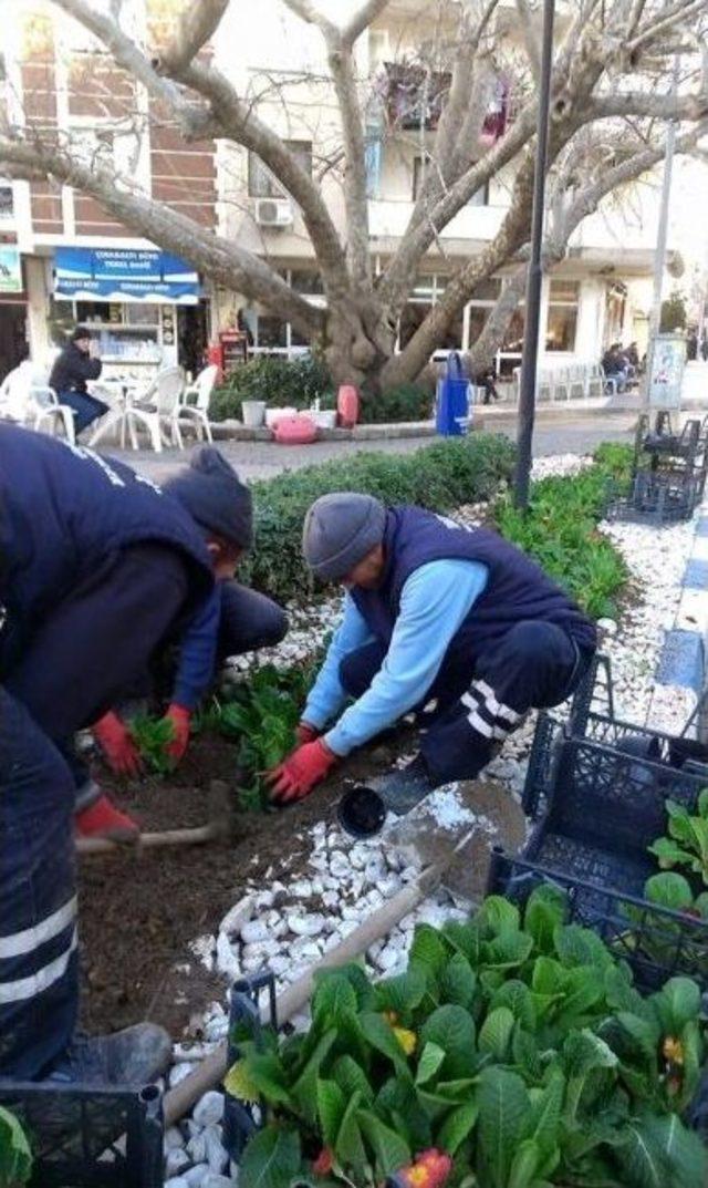 Lodosun Devirdiği Ağaçlar Ekiplerce Kaldırıldı