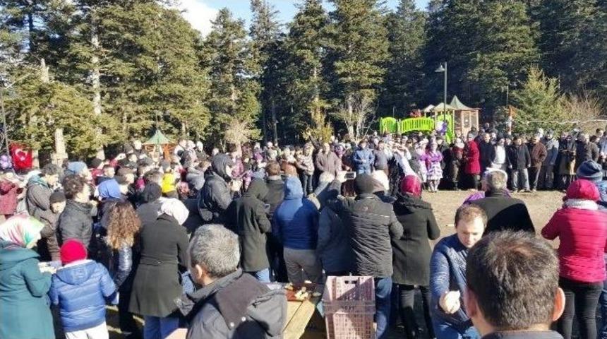 Bolu Ordulular Derneği&rsquo;nden Hamsi Balık Festivali