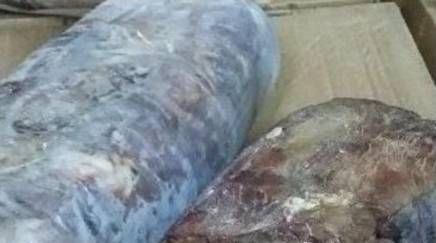 Jandarmadan Ka&ccedil;ak Et Operasyonu