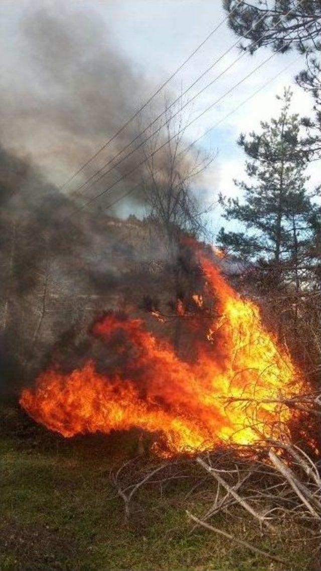 Kastamonu’da Orman Yangını