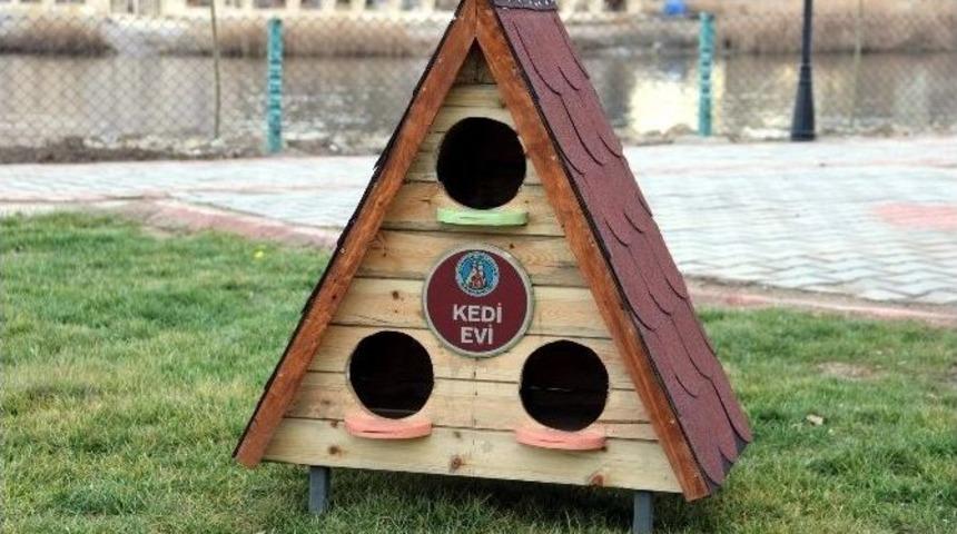 Avanos&rsquo;ta Kediler İ&ccedil;in Kedi Evleri Yapıldı