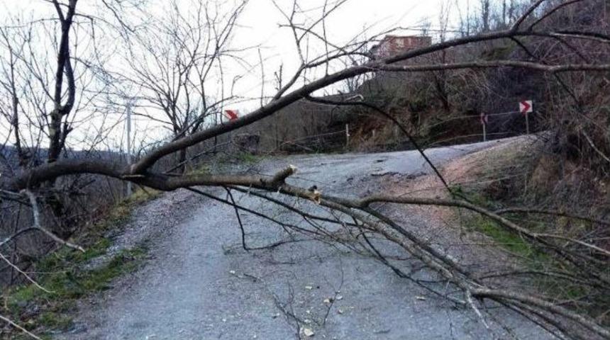 Fatsa&rsquo;da Lodos