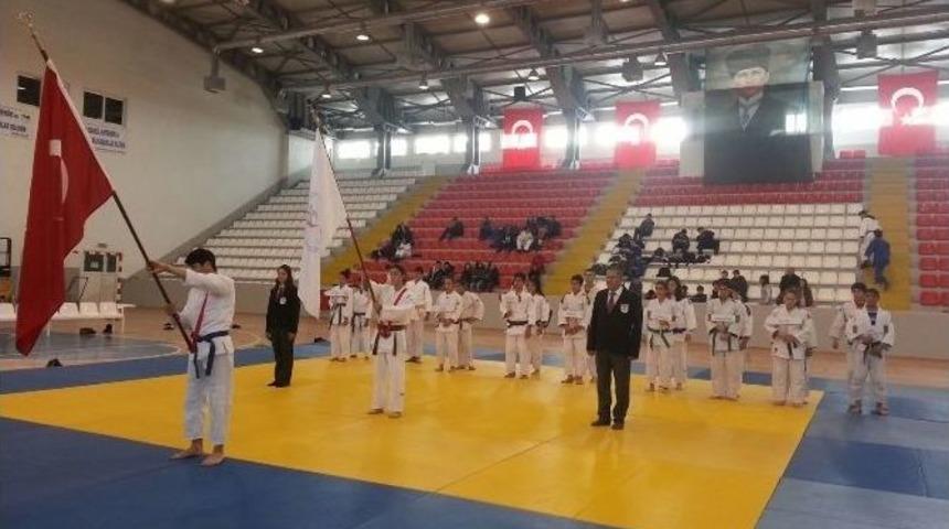 Analig Judo M&uuml;sabakalarında Van R&uuml;zg&acirc;rı