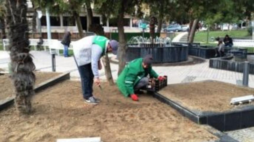 İzmit&rsquo;teki Parklara 200 Bin Lale Ekildi