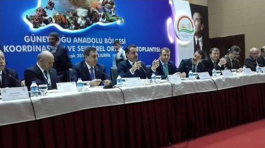 Bakan &Ccedil;elik, "kullanalım Ama Bedelini De &Ouml;deyelim"