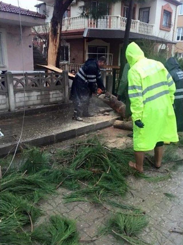 Seferihisar’da Hortum Dehşeti