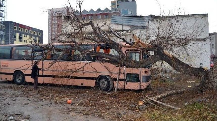 Şiddetli R&uuml;zgar Nedeniyle Otob&uuml;s&uuml;n &Uuml;zerine Ağa&ccedil; Devrildi