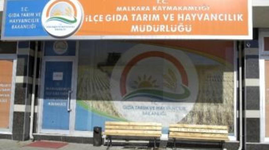 Malkara İlçe Tarımdan Hayvan Kaçakçılığına Geçit Yok