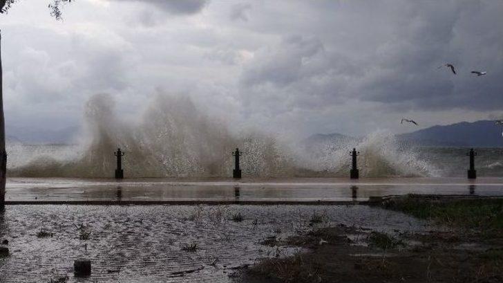 Lodos Ve Şiddetli Yağış Hayatı Olumsuz Etkiledi G1