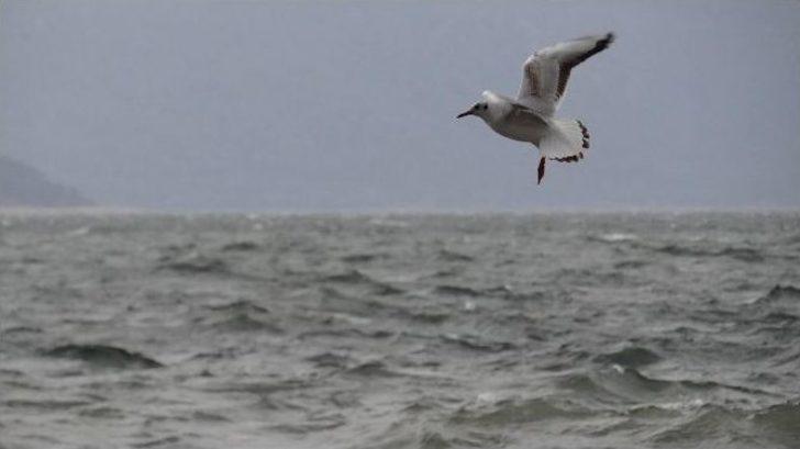 Lodos Ve Şiddetli Yağış Hayatı Olumsuz Etkiledi G4