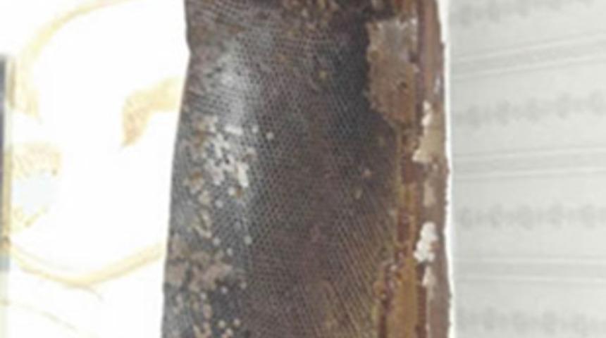 Tavan arasından gelen sesi merak etti ve...