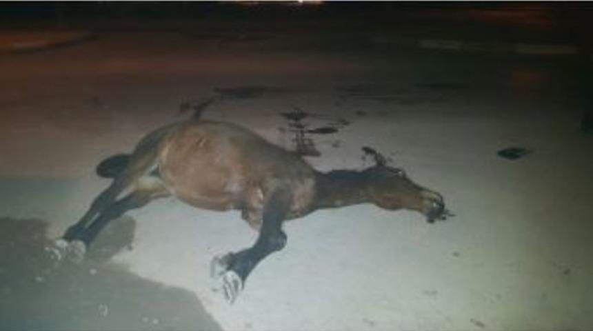 Kamyonet Ata &Ccedil;arptı: İki Yaralı