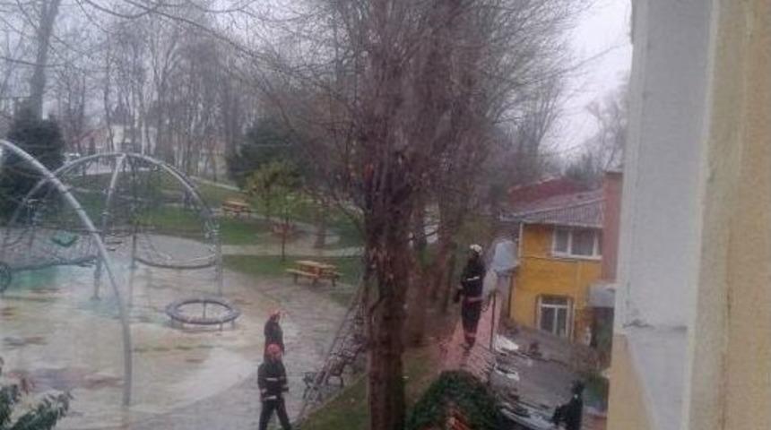 Beykoz&rsquo;da Kedi Kurtarma Operasyonu