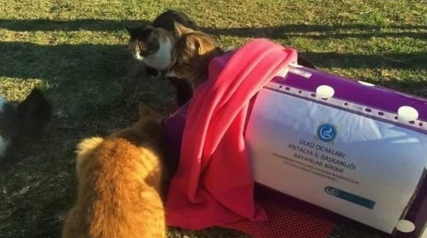 Antalya &Uuml;lk&uuml; Ocakları Sessiz Canları Unutmadı