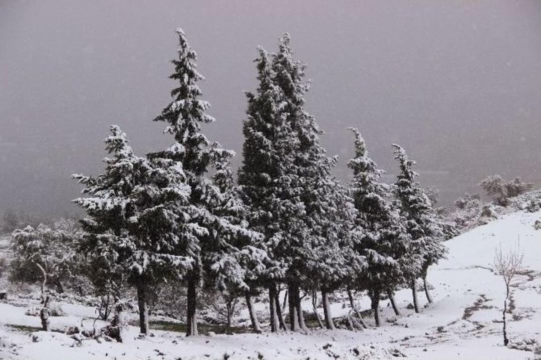 Manisalı Kar Yağışının Keyfini &Ccedil;ıkardı
