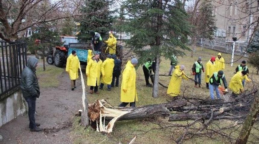 R&uuml;zgar Er&uuml;&rsquo;de Ağa&ccedil;ları Devirdi, Kongre Merkezi&rsquo;nin &Ccedil;atısını U&ccedil;urdu