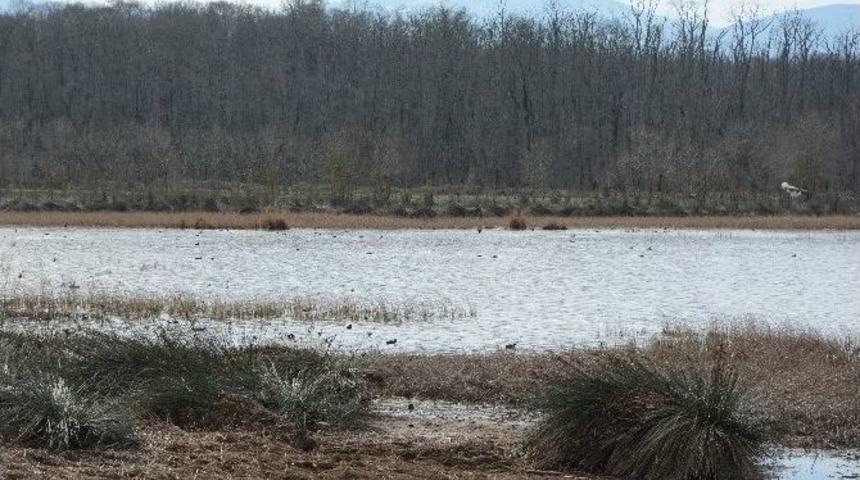 &Ouml;ğrenciler Sarıkum&rsquo;da Kuş G&ouml;zlemi Yaptılar