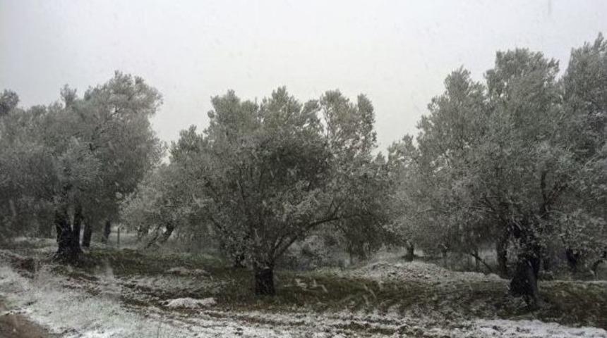 Bu Da Kar Tatlısı...