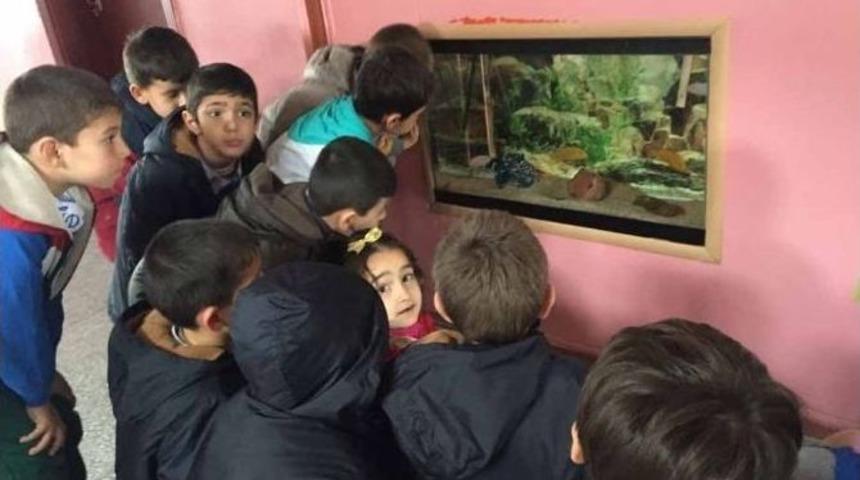 Pazarlar&rsquo;da İlkokula Dev Akvaryum